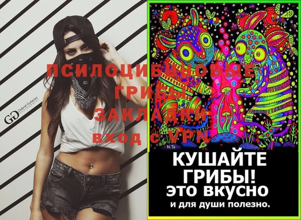 кокс Корсаков