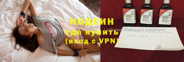 крисы Абаза