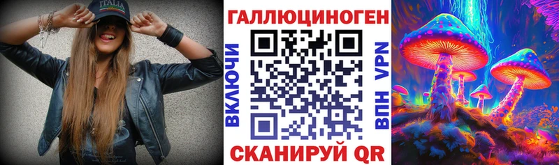 Псилоцибиновые грибы MAGIC MUSHROOMS цены Александров